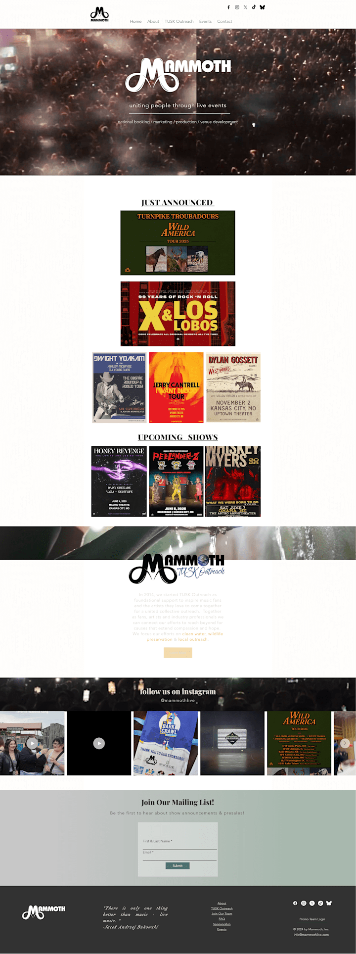 Cover image for Website Development - Mammoth