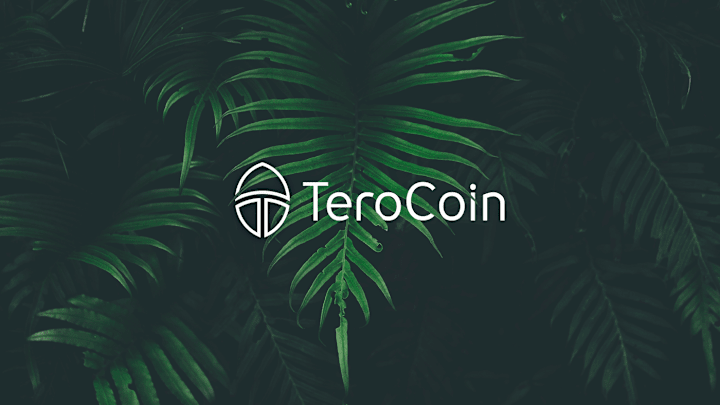 Cover image for TeroCoin