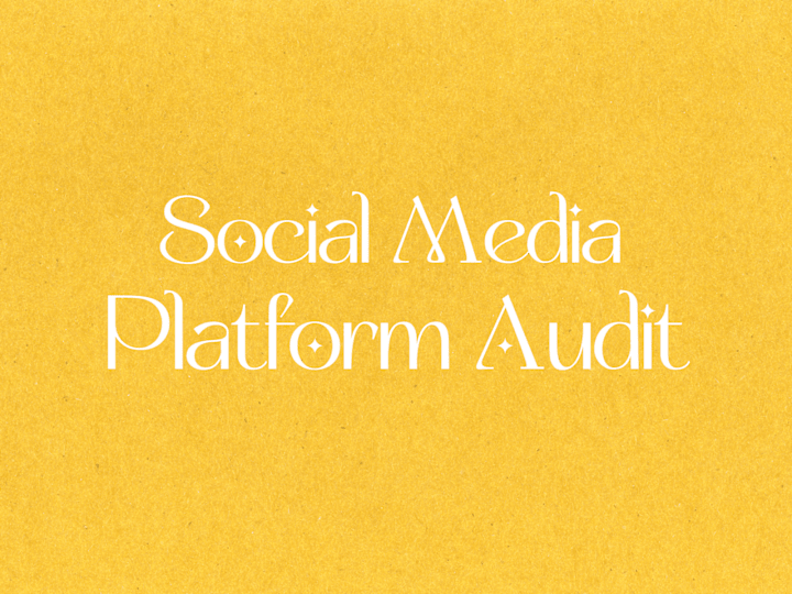 Cover image for I will Review Your Social Media Presence: Platform Audit