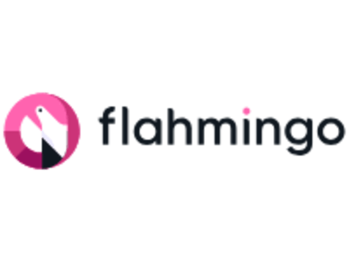 Cover image for Flahmingo Investments