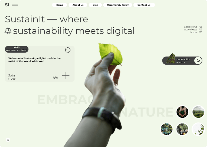 Cover image for Website design for sustainability company