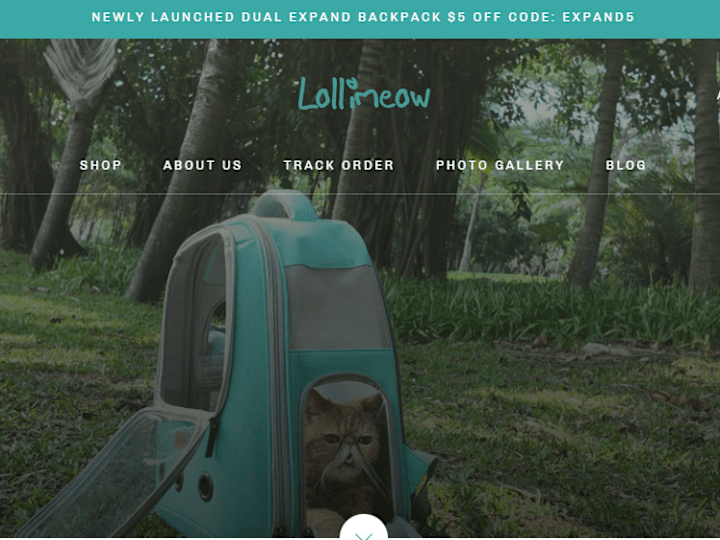 Cover image for Lollimeow cat transparent bubble carrier backpack