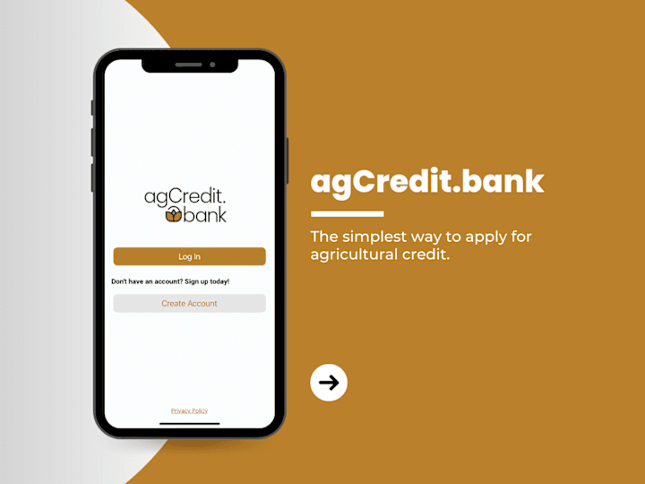 Cover image for Digital Lending App Design