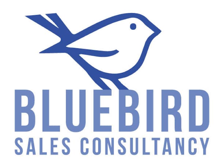 Cover image for BlueBird Logo