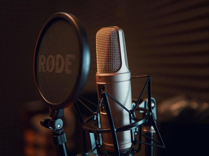 Cover image for Professional Voice Over Artist 