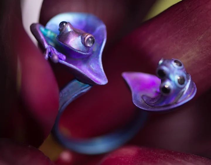 Cover image for Zen Frog