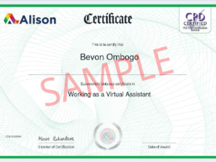 Cover image for  professional personal Assistant and Virtual Assistant services 
