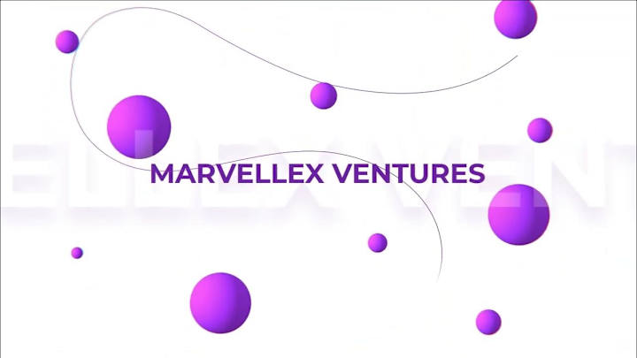 Cover image for Marvellex Ventures - Secure Your Future with Marvellex Venture …