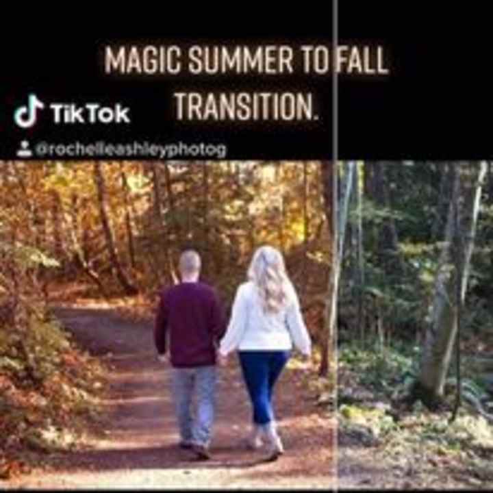 Cover image for Transition from Summer to Fall