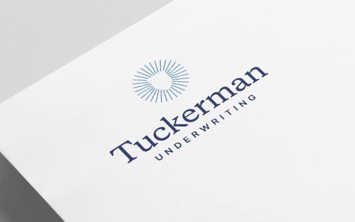 Cover image for Tuckerman Consulting Web Project