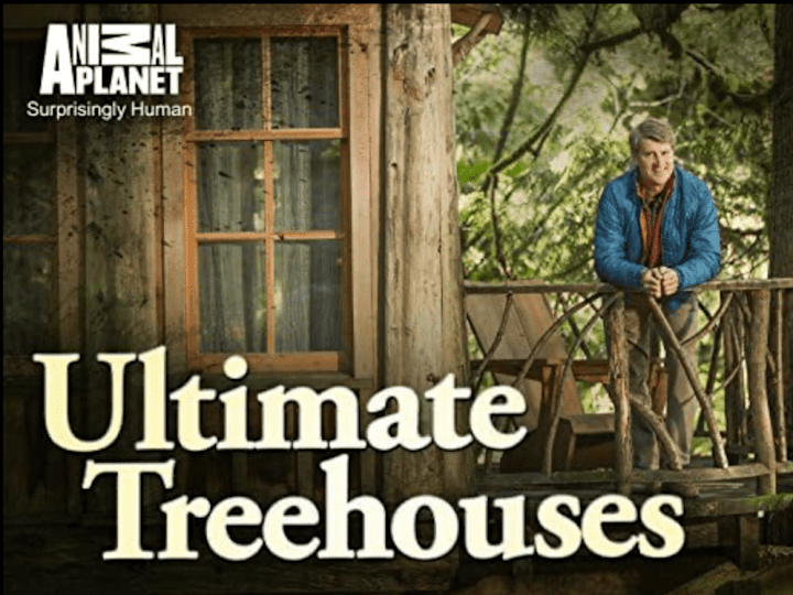 Cover image for Ultimate Treehouses