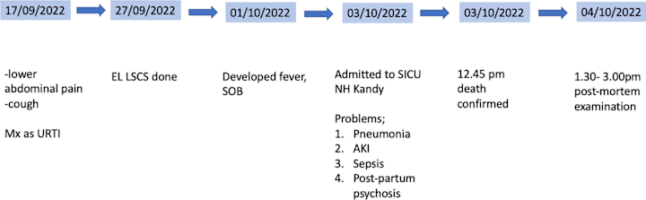 Cover image for Acute hemorrhagic pancreatitis following influenza infection: a…