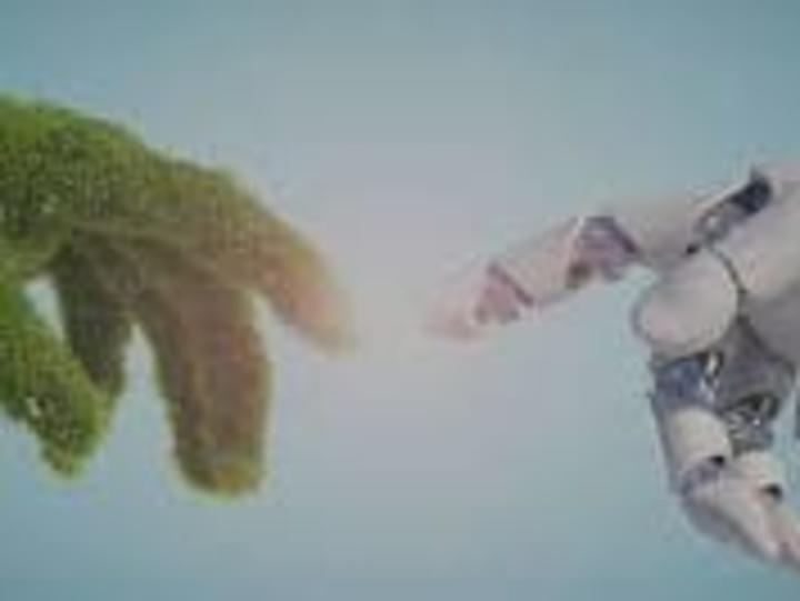 Cover image for Advancing Sustainable Practices for Businesses