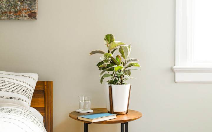 Cover image for Base Planter