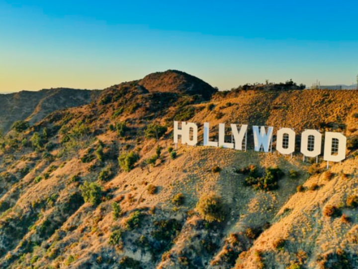 Cover image for Case Study: Data Mining Goes to Hollywood