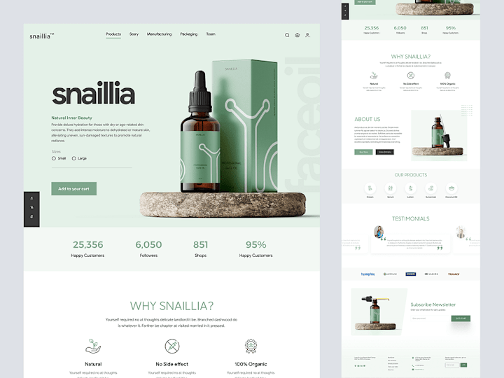 Cover image for Shopify Store