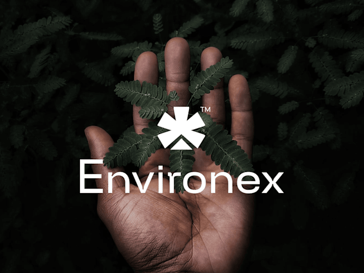 Cover image for Environex Brand Identity