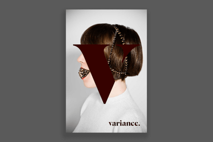 Cover image for Variance Objects