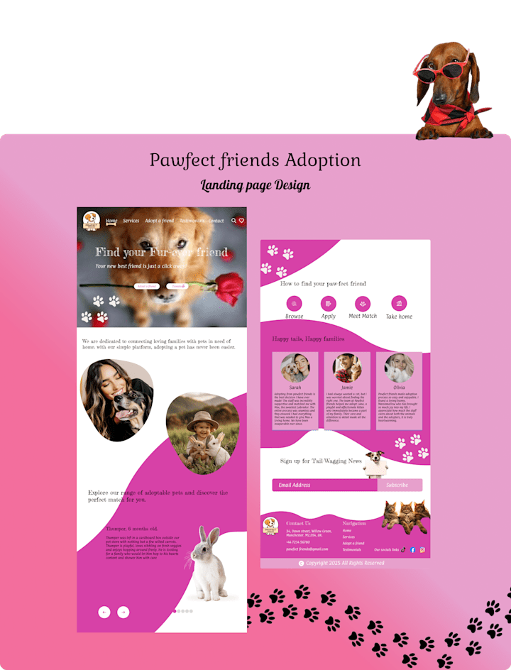 Cover image for Pawfect friends adoption landing page