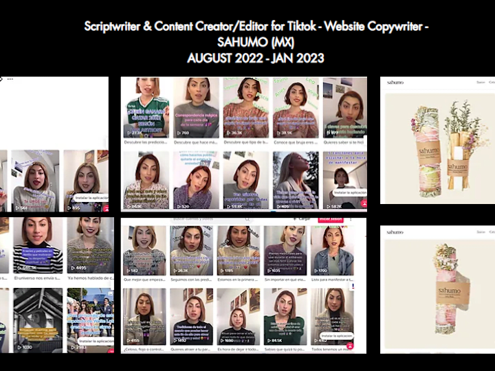 Cover image for 
Scriptwriter & Content Creator/Editor for Tiktok - Website Copy