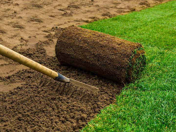 Cover image for barboniprati.it - rolling lawn company