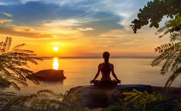 Cover image for What is the Relationship between Stress and your Endocannabinoid