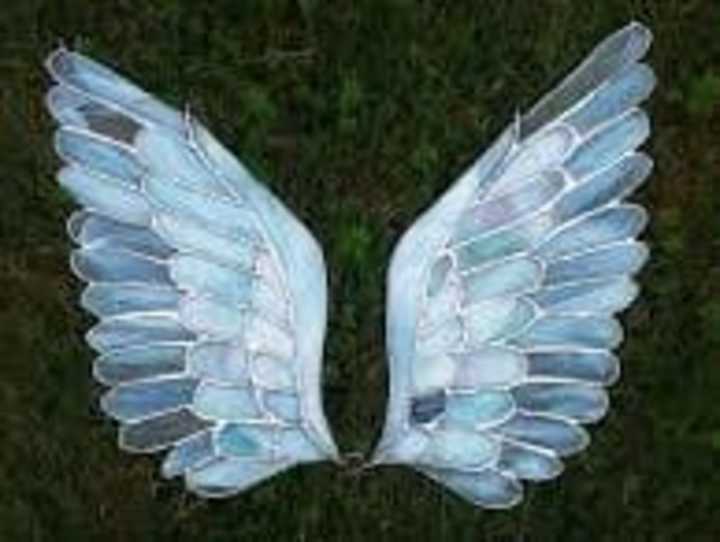 Cover image for Crystals Wings