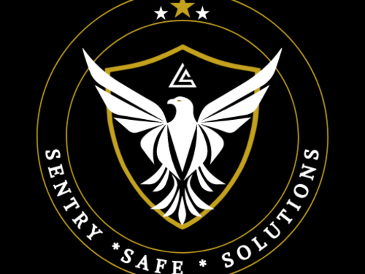 Cover image for Sentry Safe Solutions