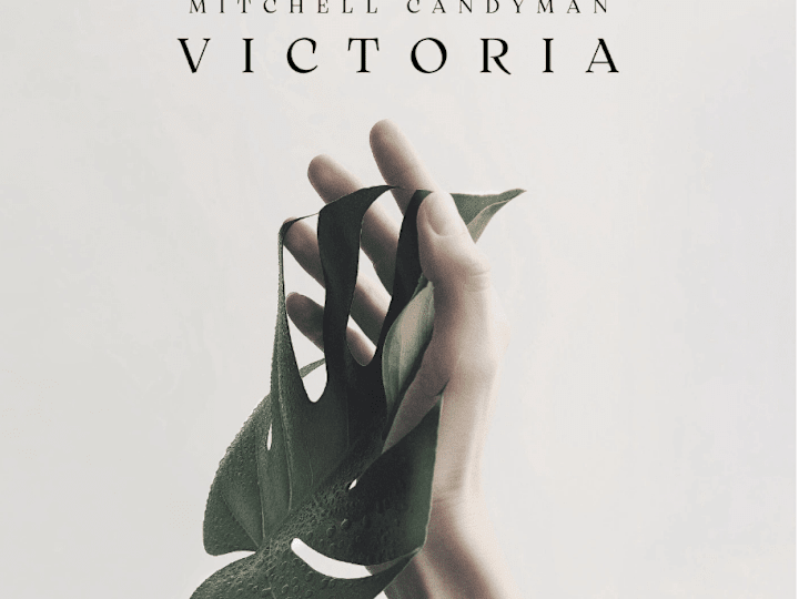 Cover image for Professional graphic design
