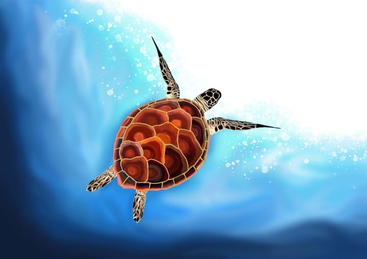 Cover image for Sea Turtle in Waves