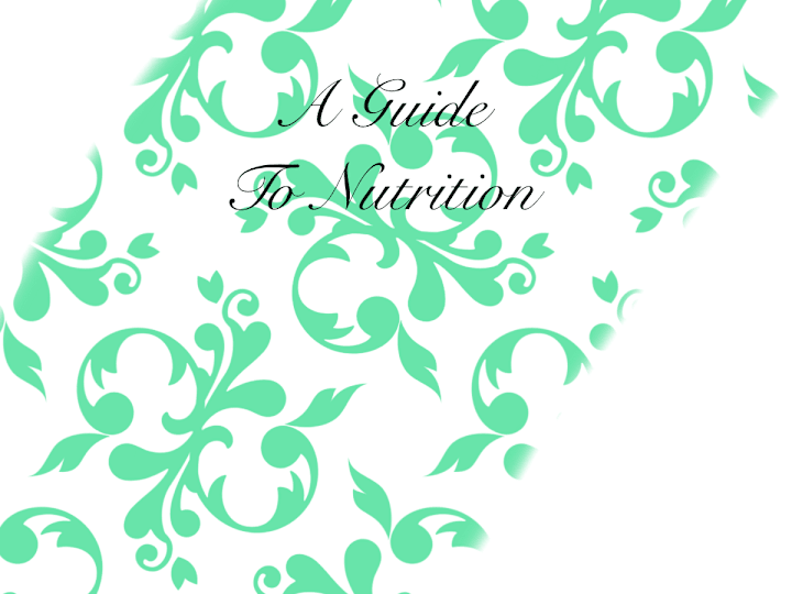 Cover image for A Guide To Nutrition 