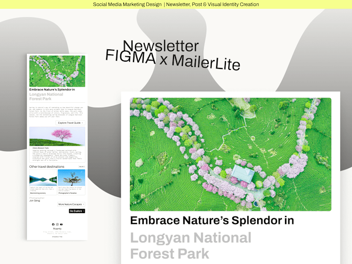 Cover image for MailerLite x Klaviyo Email Newsletter Design