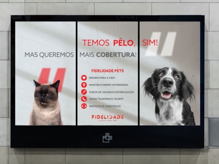 Cover image for CCP x Fidelidade