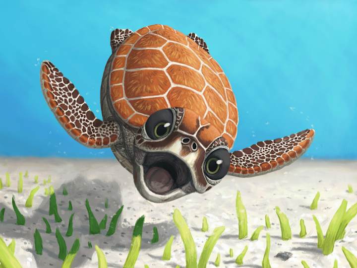 Cover image for Cute Illustrations for Children's Books or alike.