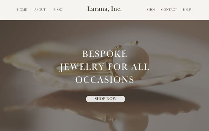 Cover image for Ecommerce Website Development