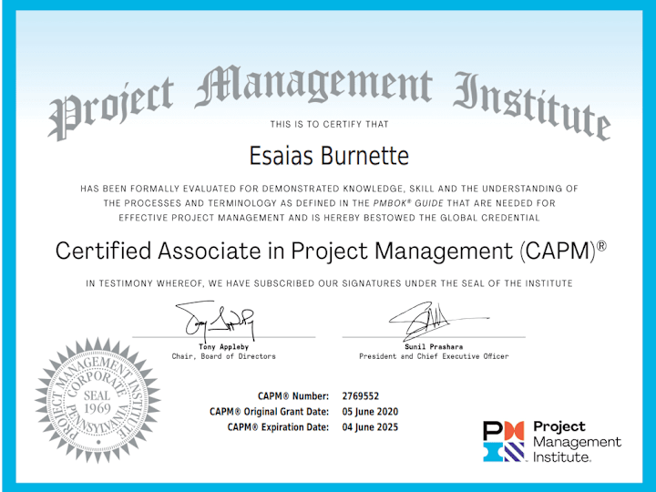 Cover image for IT Project Manager