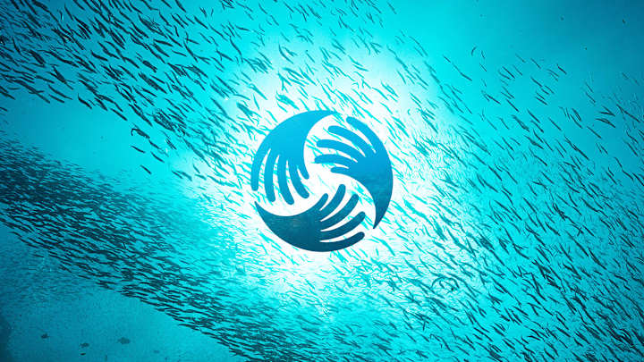 Cover image for National Ocean Protection Coalition