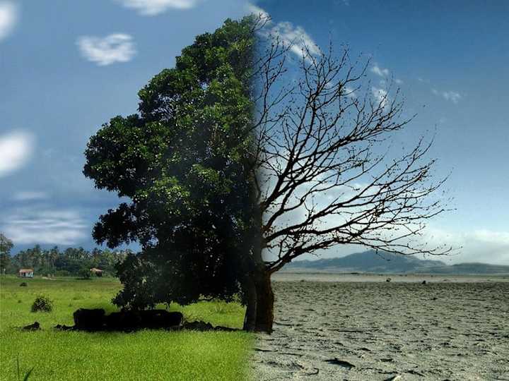 Cover image for Understanding Global Warming: A Call for Urgent Action