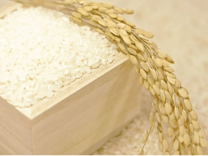 Cover image for Everything You Need to Know About Japanese Rice