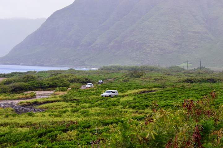 Cover image for Project Parking