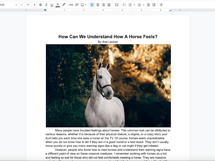 Cover image for How can we understand how a horse feels