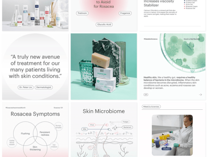 Cover image for Gladskin
