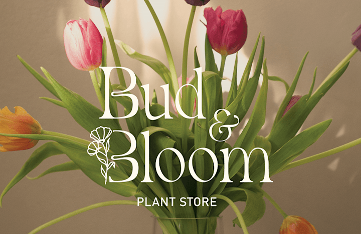 Cover image for Bud & Bloom