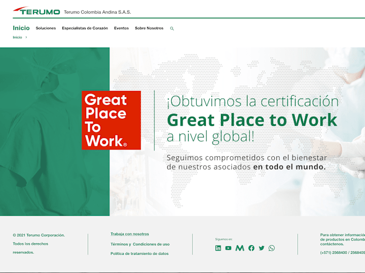 Cover image for Terumo Corporate Redesign