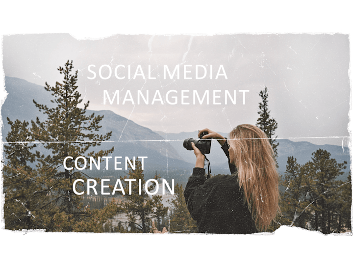 Cover image for I'll produce Social Media Content that aligns with your vision