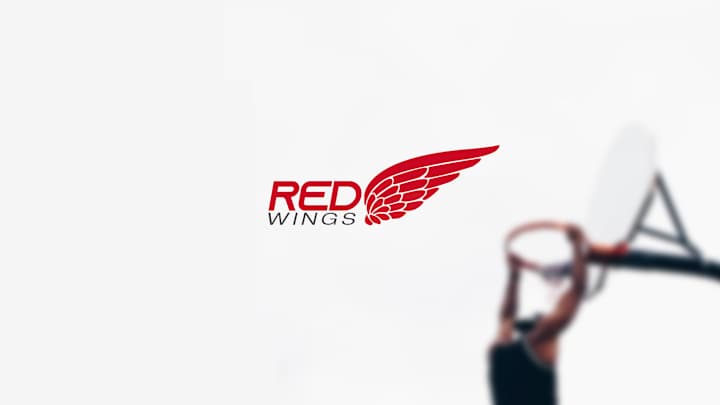 Cover image for Red Wings | Brand Identity Design