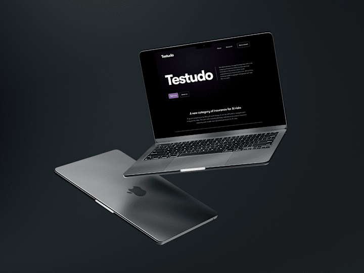 Cover image for Testudo: Helping businesses manage AI related insurance risks