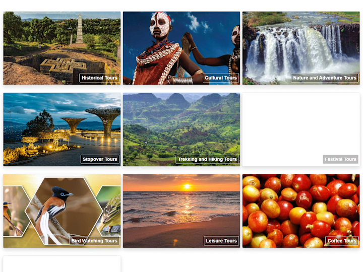 Cover image for Ethiopian Holidays
