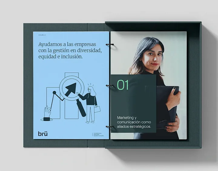Cover image for BRÜ ― DEI Consultants