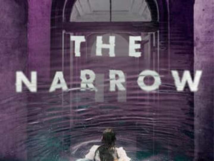 Cover image for The Narrow, by Kate Alice Marshall